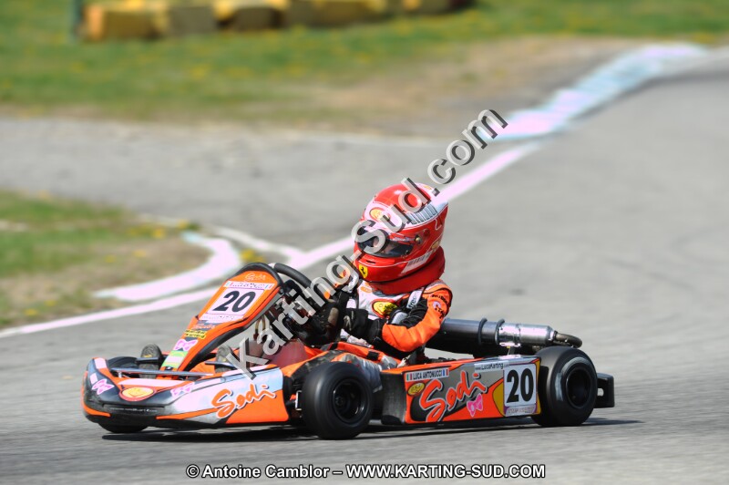 DSC_8382.JPG