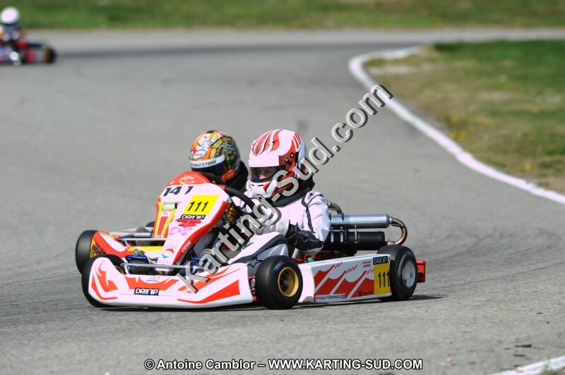 DSC_8390.JPG