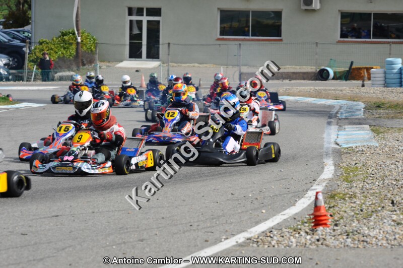 DSC_8492.JPG