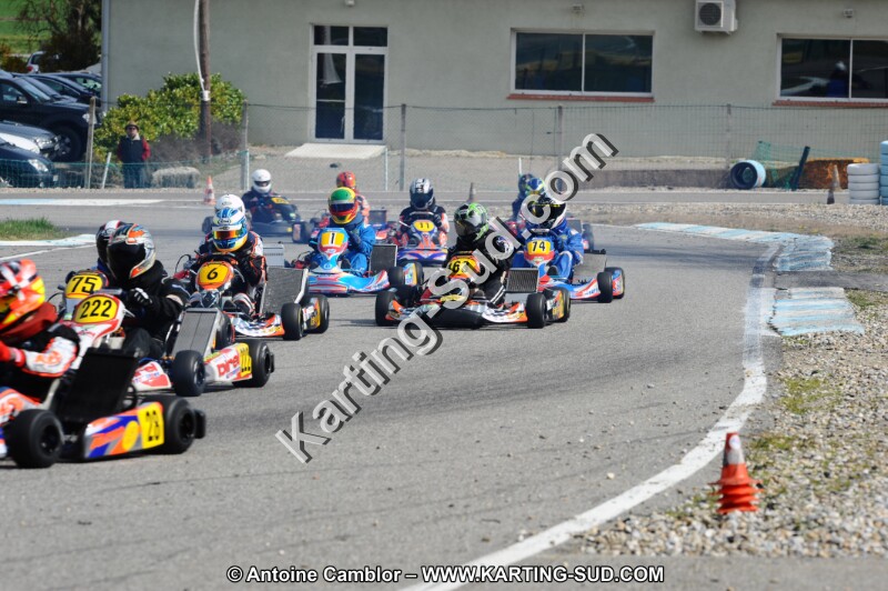 DSC_8495.JPG