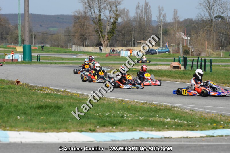 DSC_8568.JPG
