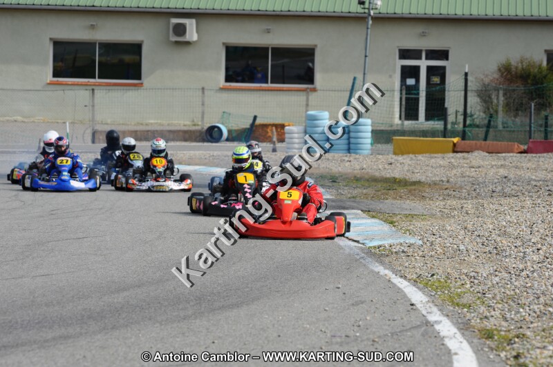 DSC_8666.JPG