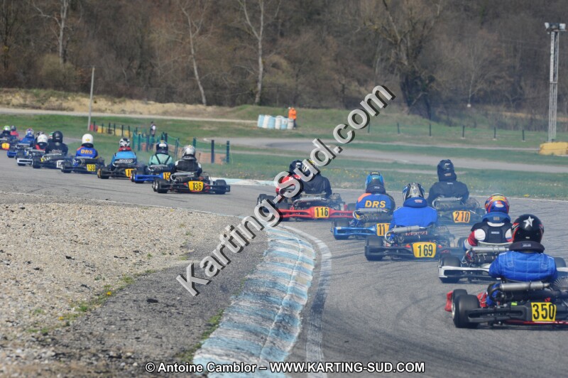 DSC_8676.JPG