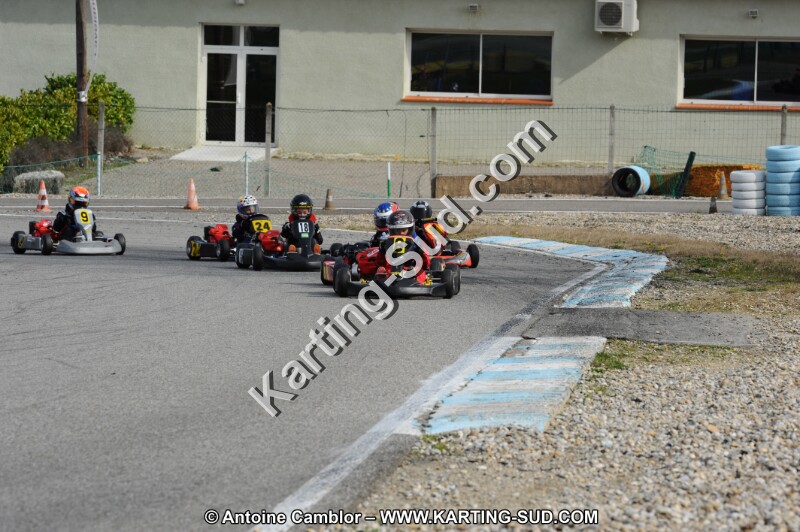 DSC_8730.JPG