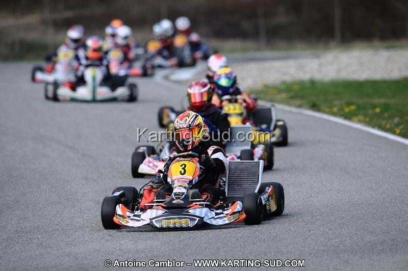 DSC_7529.JPG