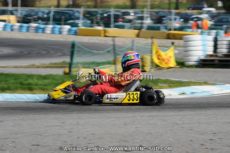 DSC_8611.JPG