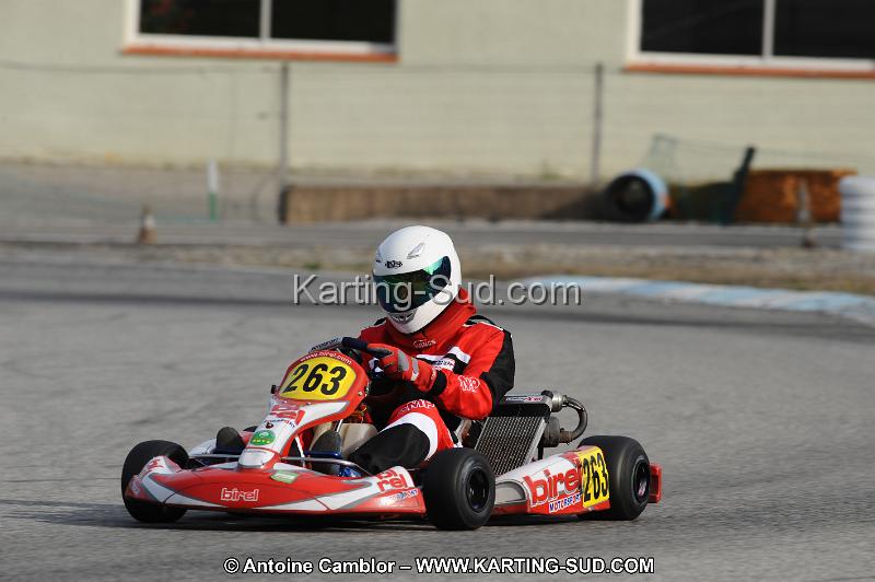DSC_9137.JPG