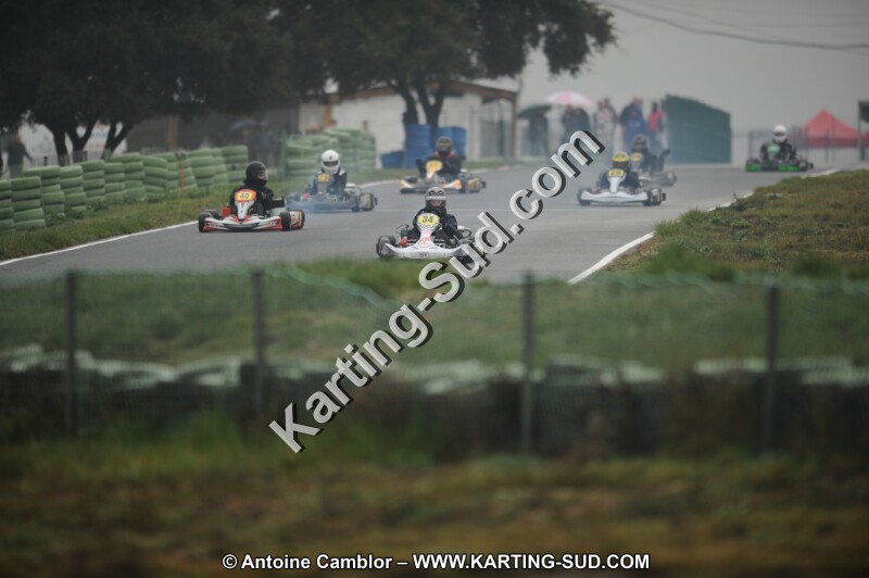 DSC_1195.JPG