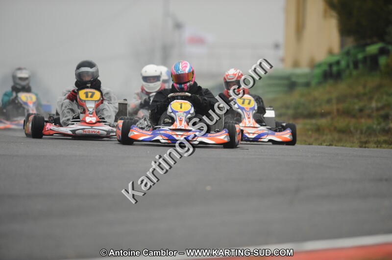 DSC_1315.JPG