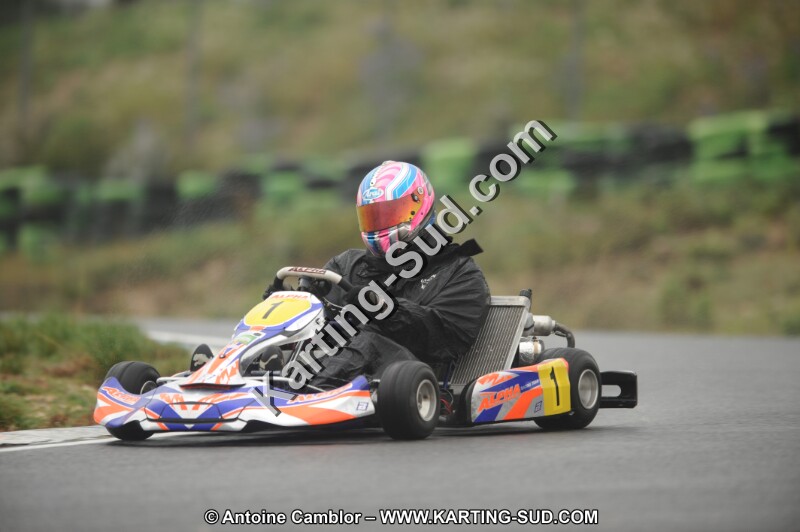 DSC_1375.JPG