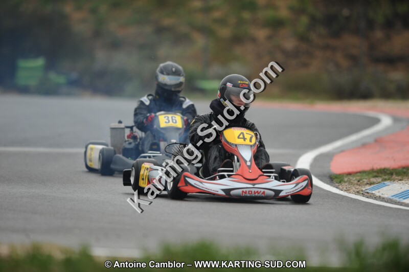DSC_1560.JPG