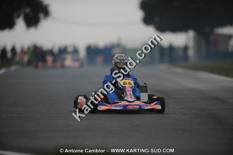 DSC_1910.JPG