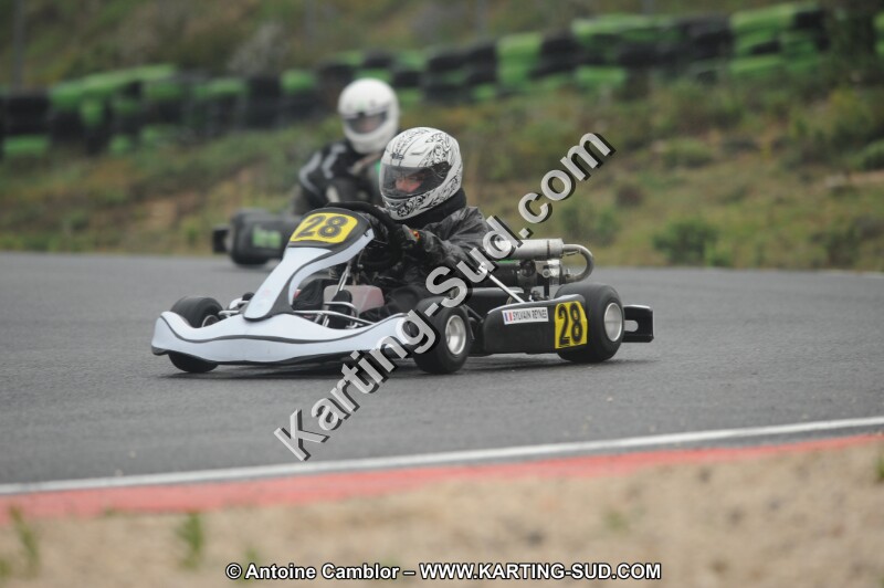 DSC_2208.JPG