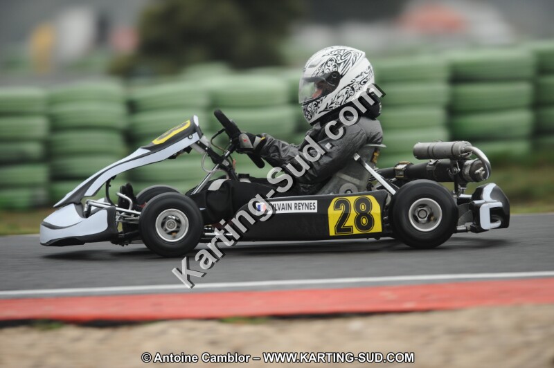DSC_2215.JPG