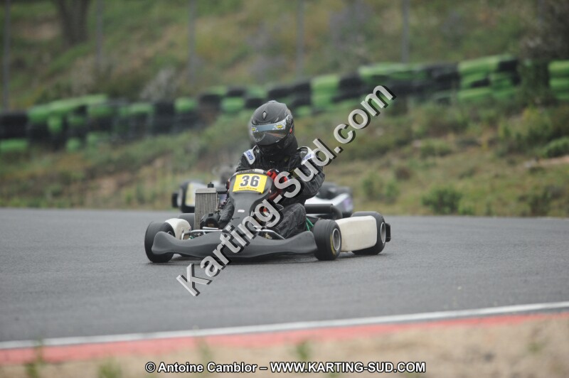 DSC_2233.JPG