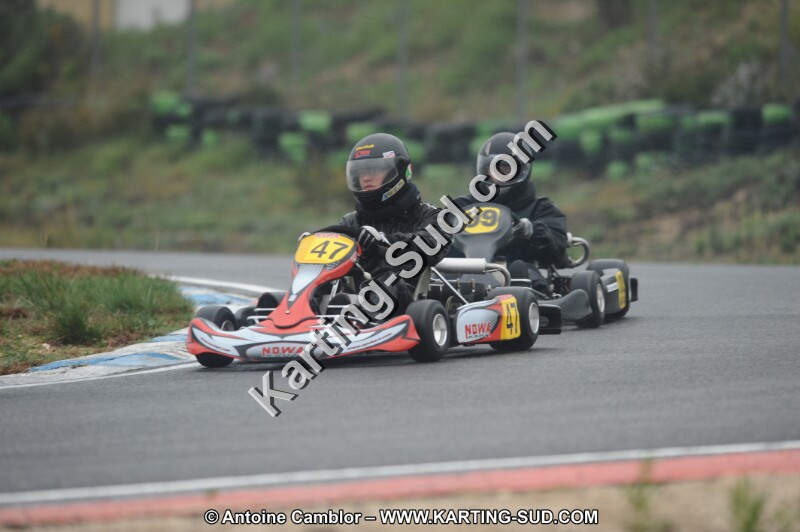 DSC_2250.JPG