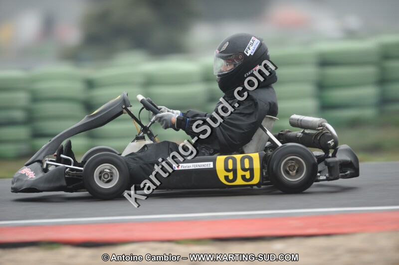DSC_2251.JPG