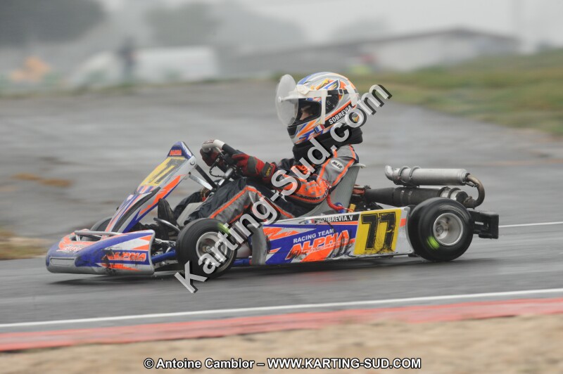 DSC_2317.JPG