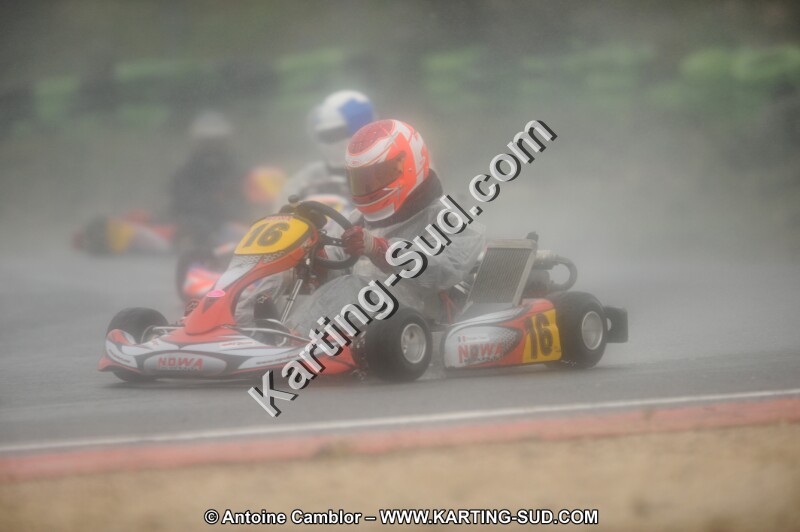 DSC_2439.JPG