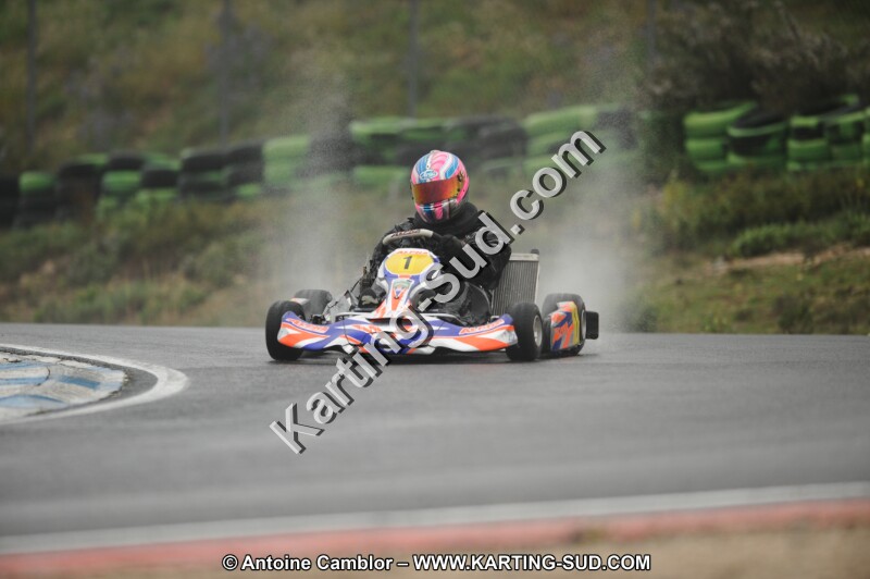 DSC_2446.JPG