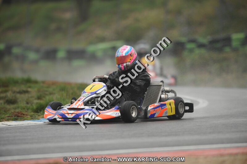 DSC_2447.JPG