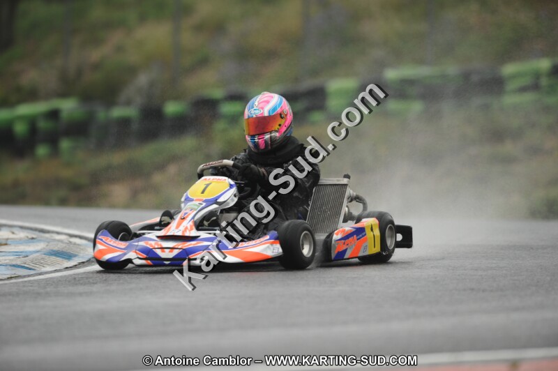 DSC_2466.JPG