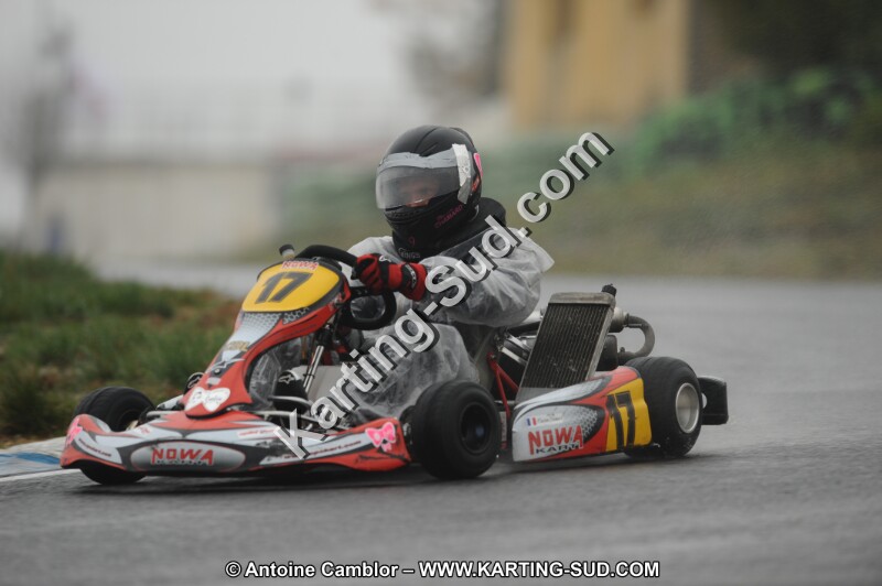 DSC_2517.JPG