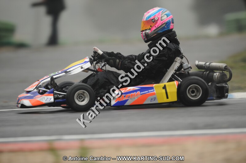 DSC_2540.JPG