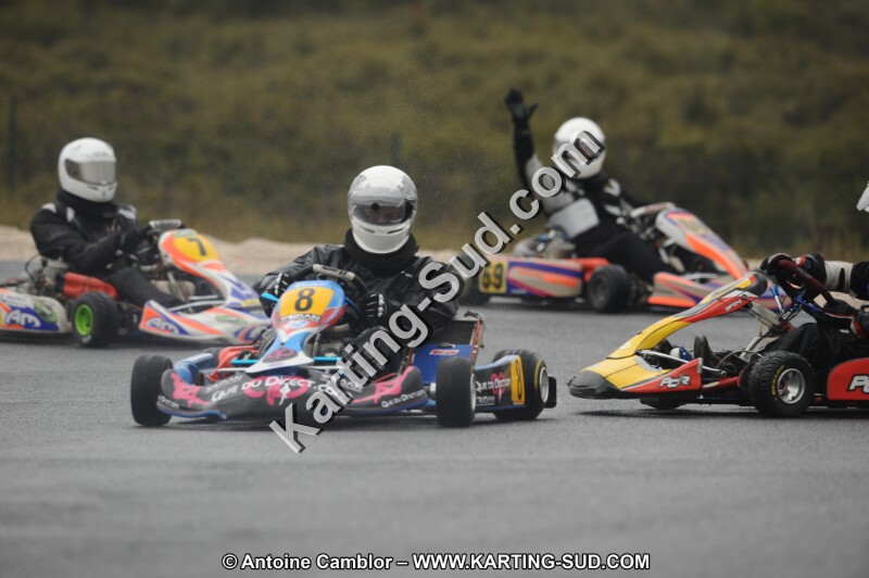 DSC_2661.JPG