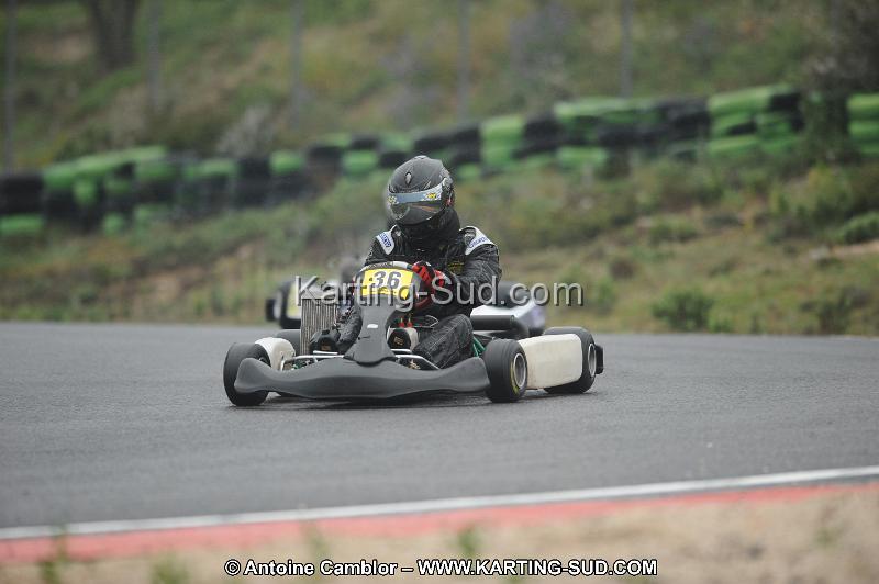 DSC_2233.JPG