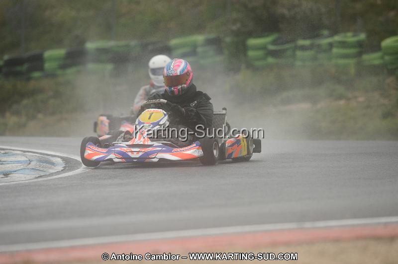 DSC_2401.JPG