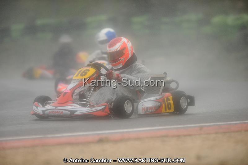 DSC_2439.JPG