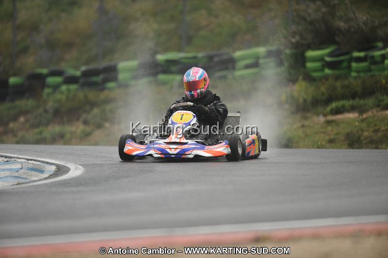 DSC_2446.JPG