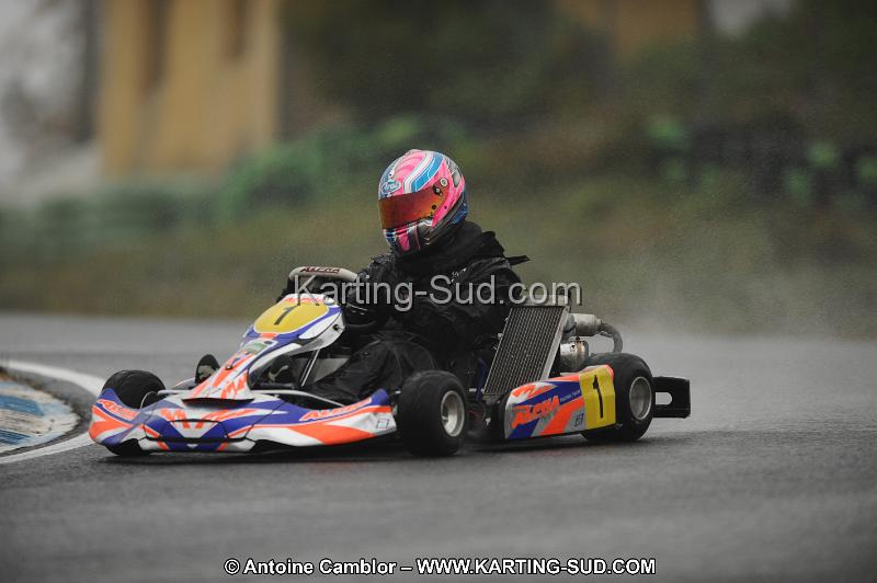 DSC_2530.JPG