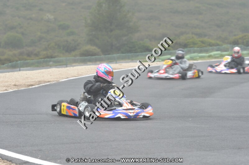 DSC_1012.JPG