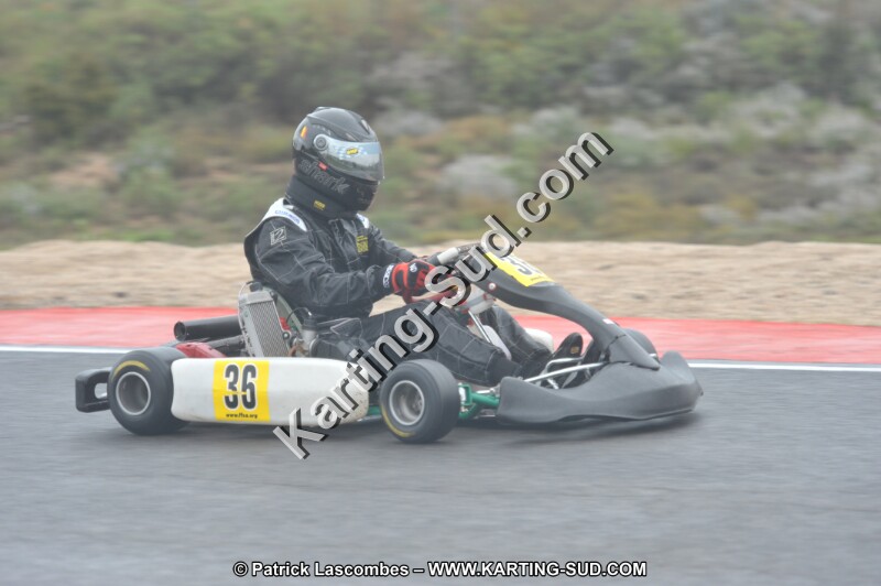 DSC_1169.JPG