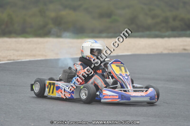 DSC_1225.JPG