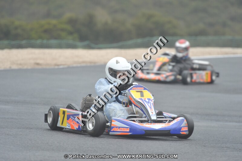 DSC_1228.JPG