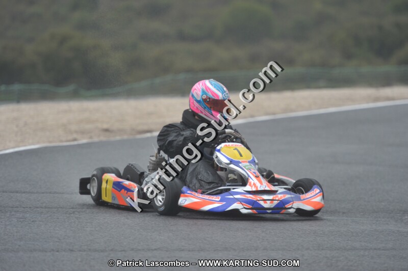 DSC_1235.JPG