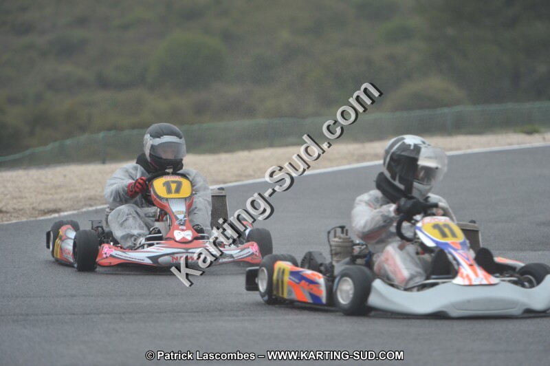 DSC_1239.JPG