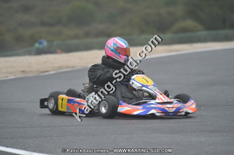 DSC_1243.JPG