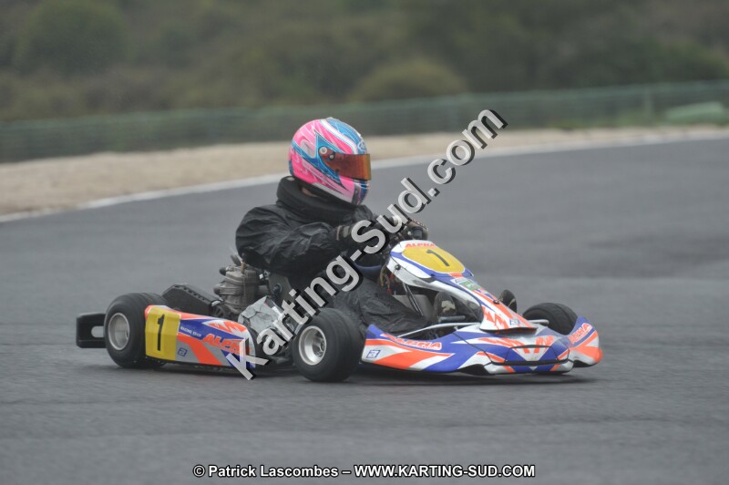 DSC_1251.JPG