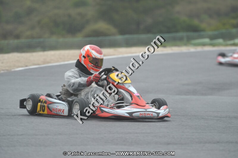 DSC_1268.JPG