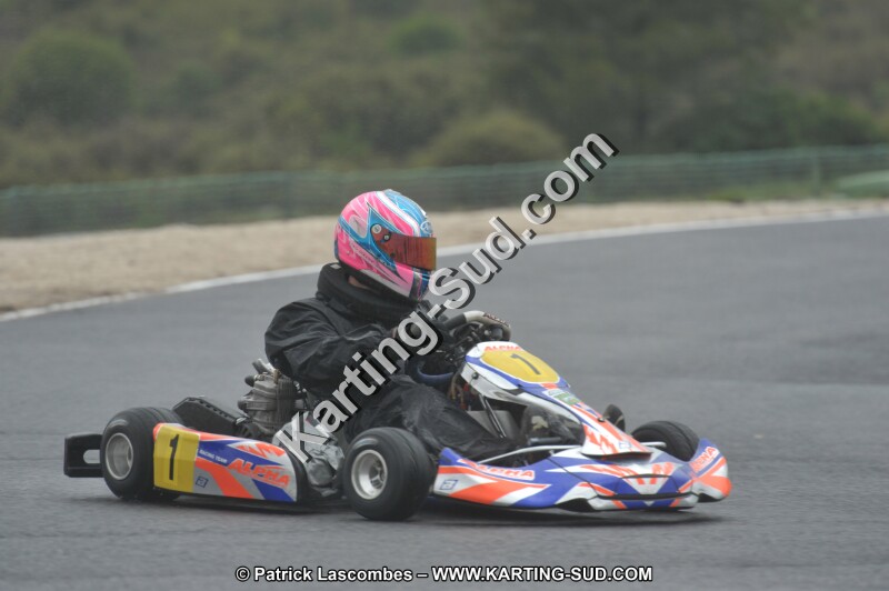 DSC_1273.JPG