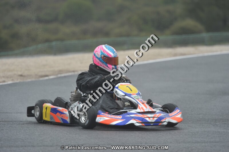 DSC_1278.JPG