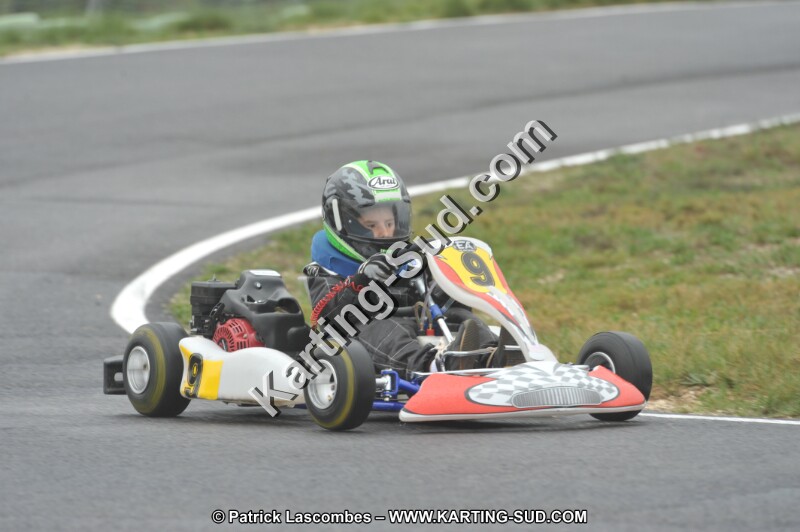 DSC_1384.JPG