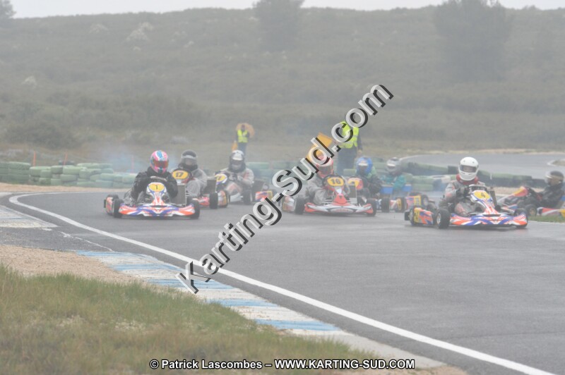 DSC_1511.JPG