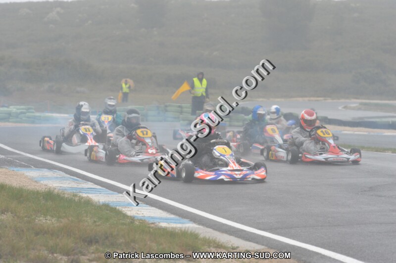 DSC_1512.JPG