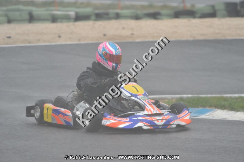 DSC_1548.JPG