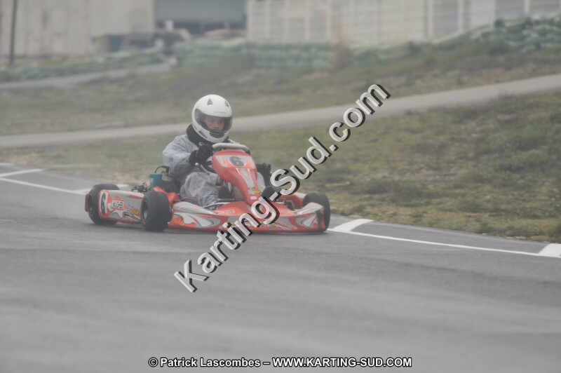 DSC_1556.JPG